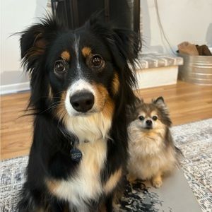 Meet your Posher, Sam